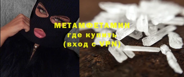 трава Сясьстрой