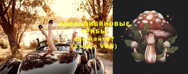 прущий лед Богородицк